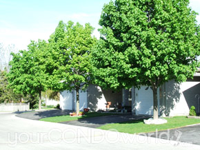 195 Barker Street London Ontario, Canada