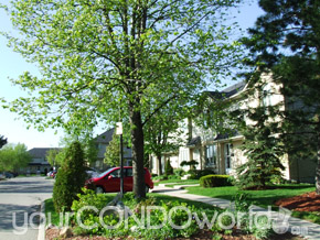 1138 Kipps Lane London Ontario, Canada