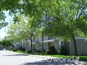 409 Thompson Road London Ontario, Canada