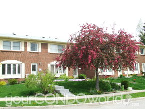 270-290 Homestead Crescent & 292-414 Homestead Court London Ontario, Canada