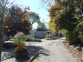 10 Mackellar Avenue London Ontario, Canada