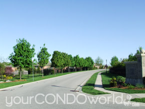 50 Northumberland Road Units 1-43 London Ontario, Canada